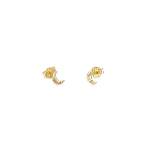 Pendientes luna